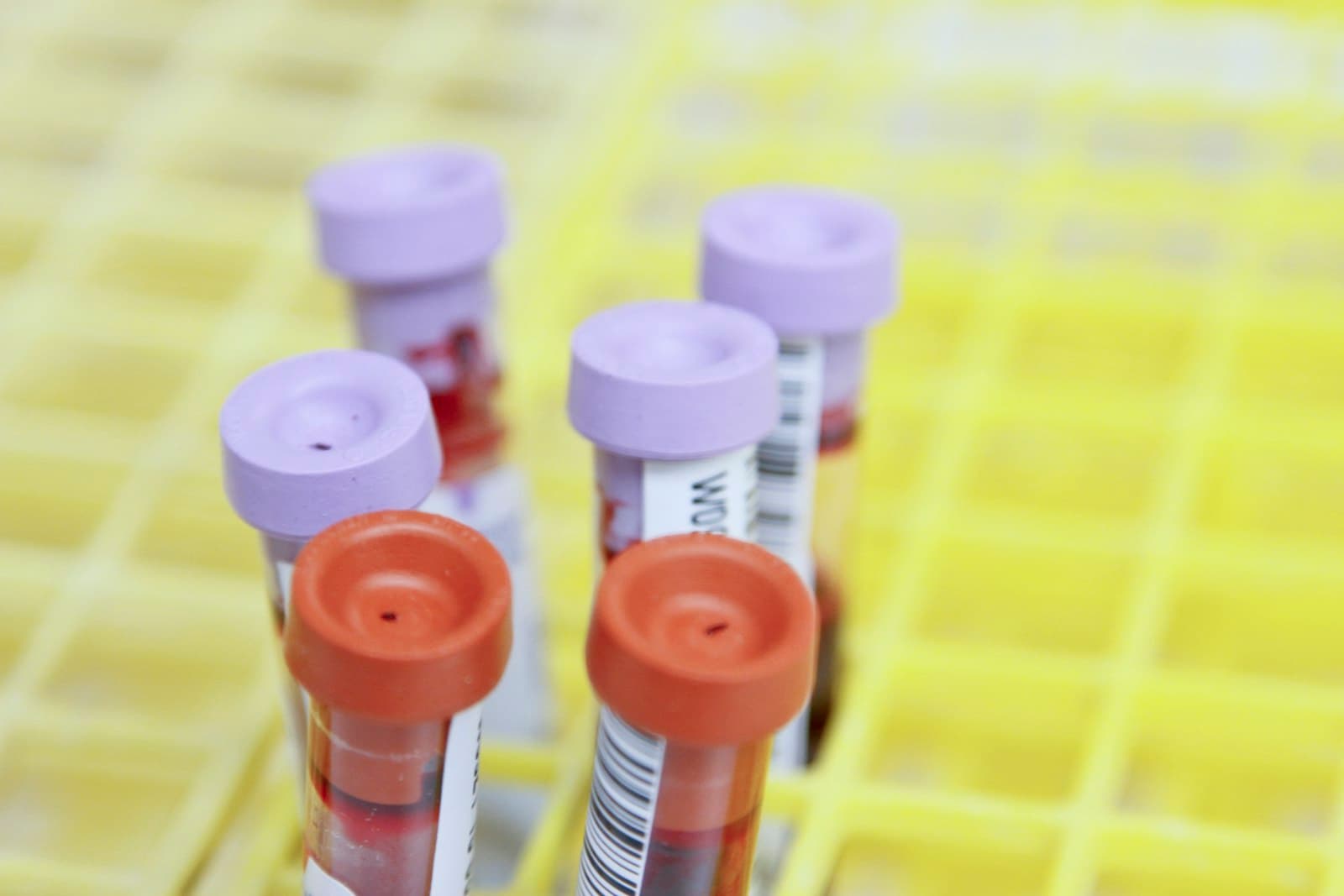 Instrumentação e qualidade em dispositivos médicos